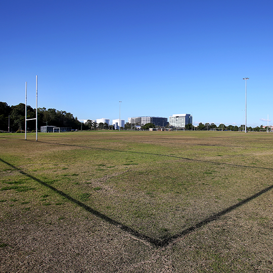 Tempe Recreation Reserve soccer pitch